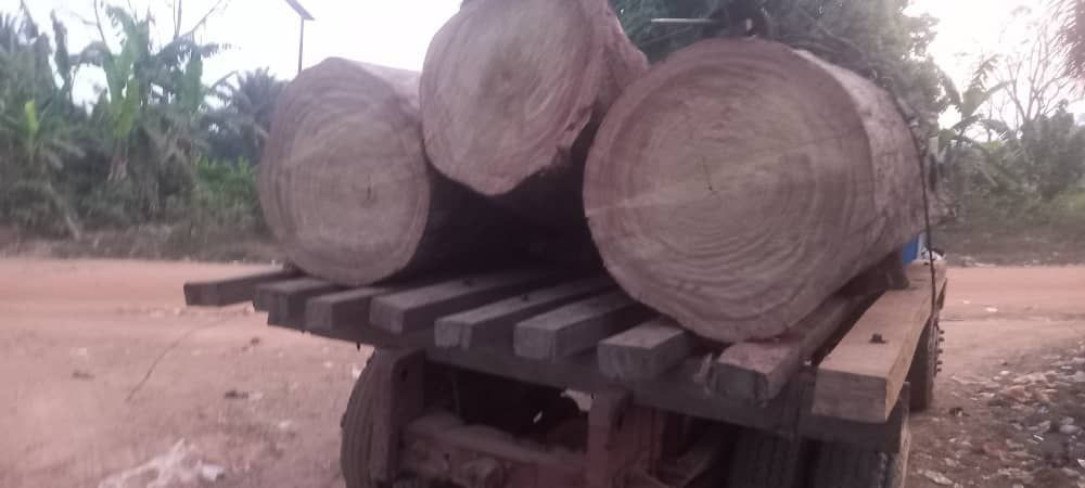 Iroko Word