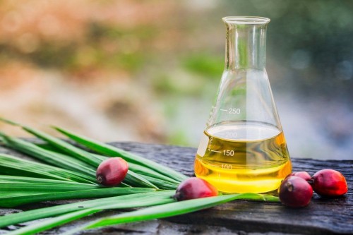 Palm Kernel Oil (PKO)