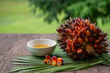 Palm fruits