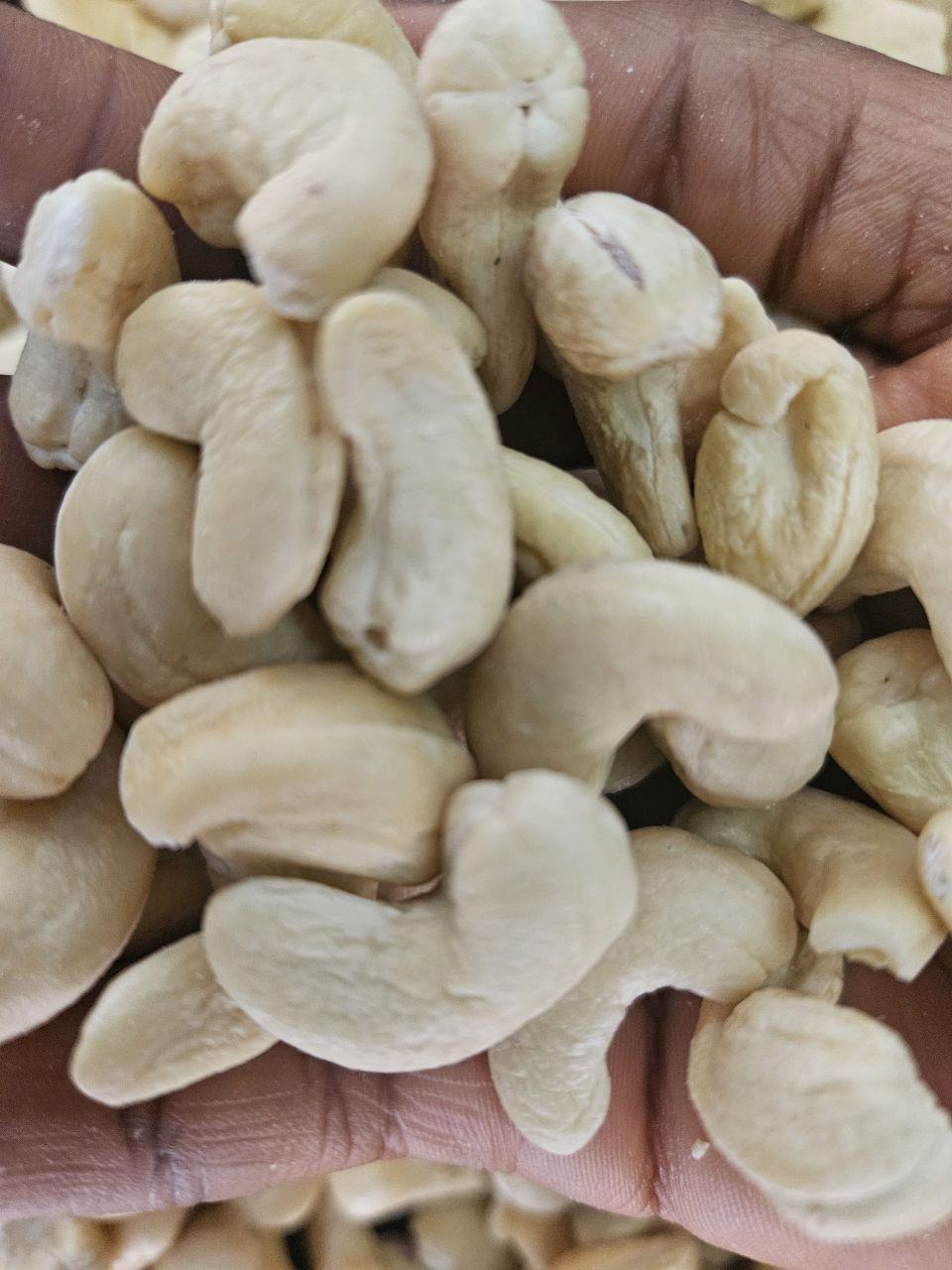 Cashew Nuts