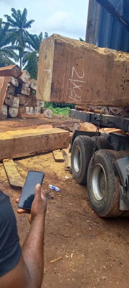Iroko Word