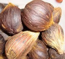 Palm Kernel Nut (Uncracked)