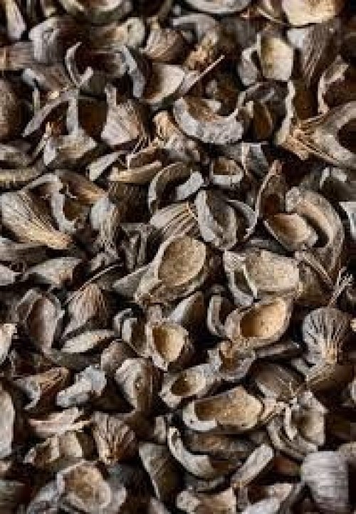 Palm Kernel Shell (PKS)