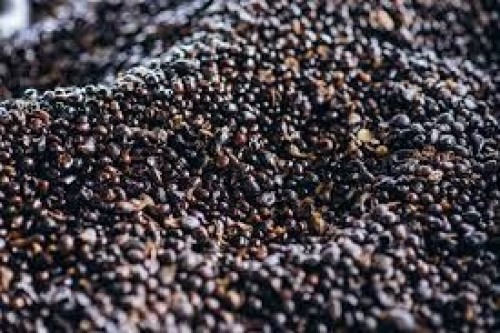 Cracked Palm Kernel Nut (PKN)