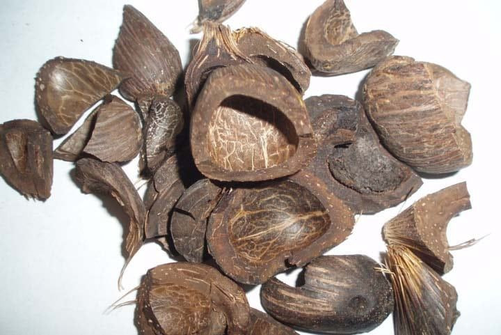 Palm Kernel Shell (PKS)