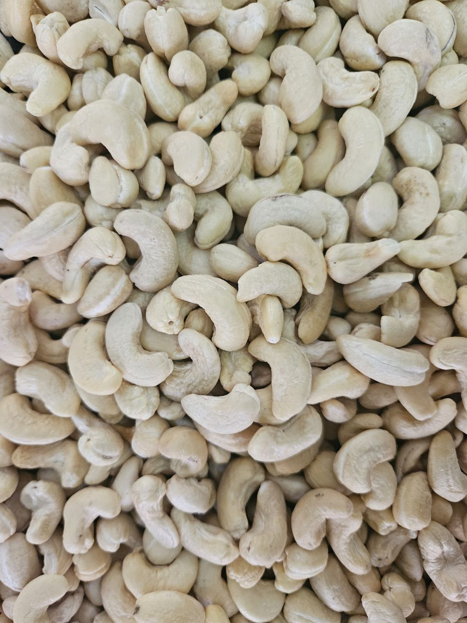 Cashew Nuts